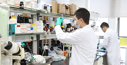 中国十大娱乐赌博城网址 - 十大最新赌博正规网址