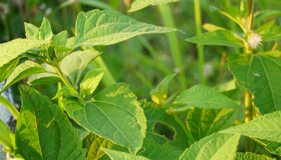 中国十大娱乐赌博城网址 - 十大最新赌博正规网址